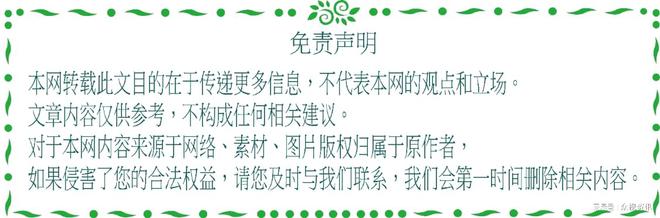 I NAS赋能引领智能存储新纪元CQ9电子最新网站极空间私有云A